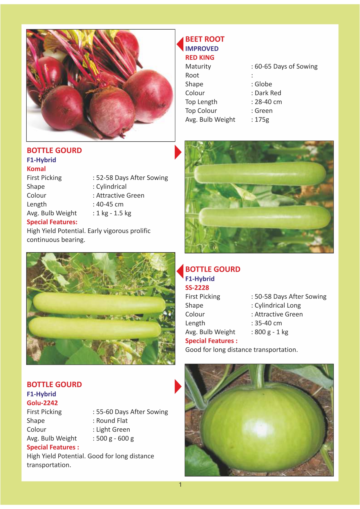 Green India Catalogue Inner Pages_page-0001