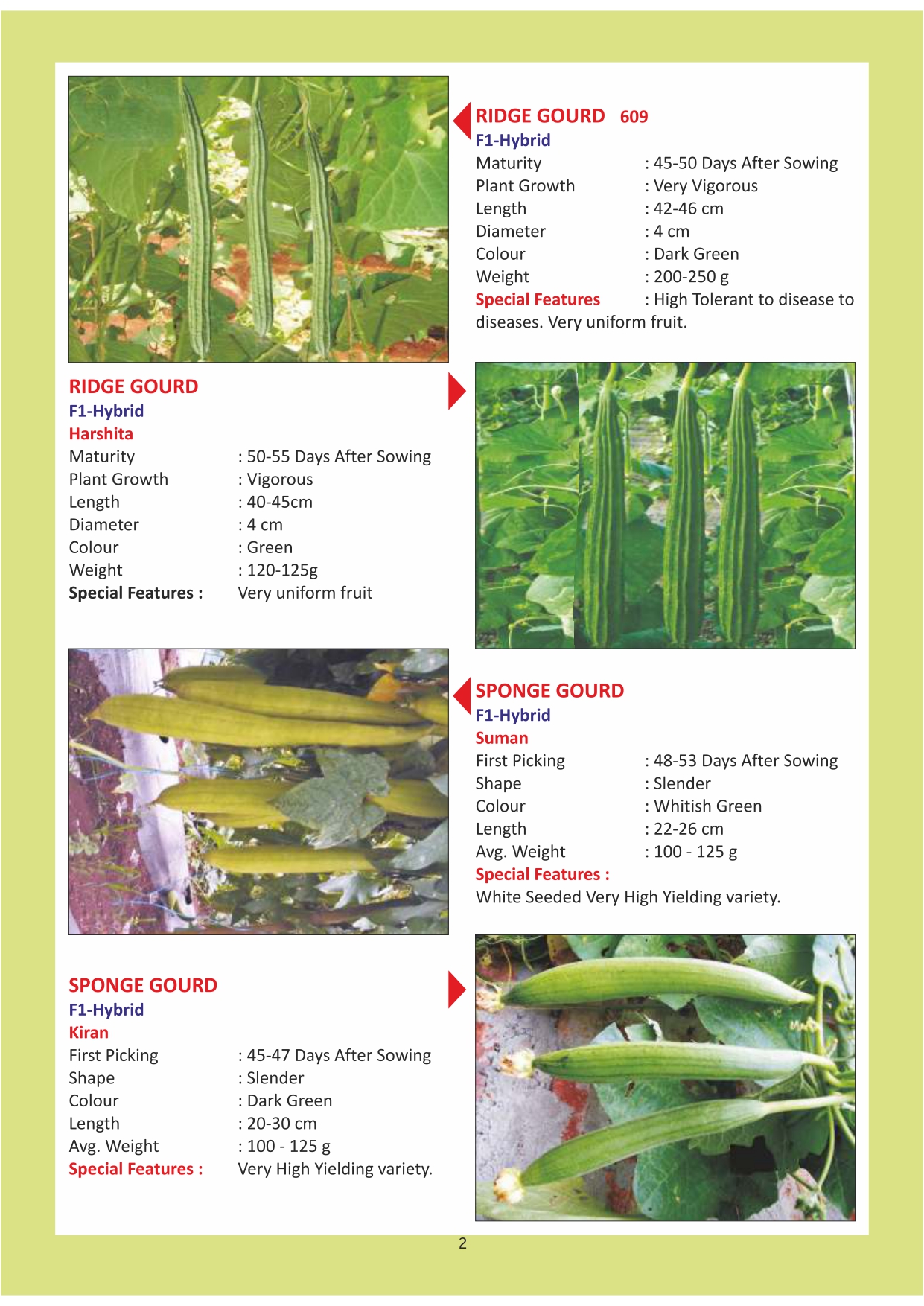 Green India Catalogue Inner Pages_page-0002