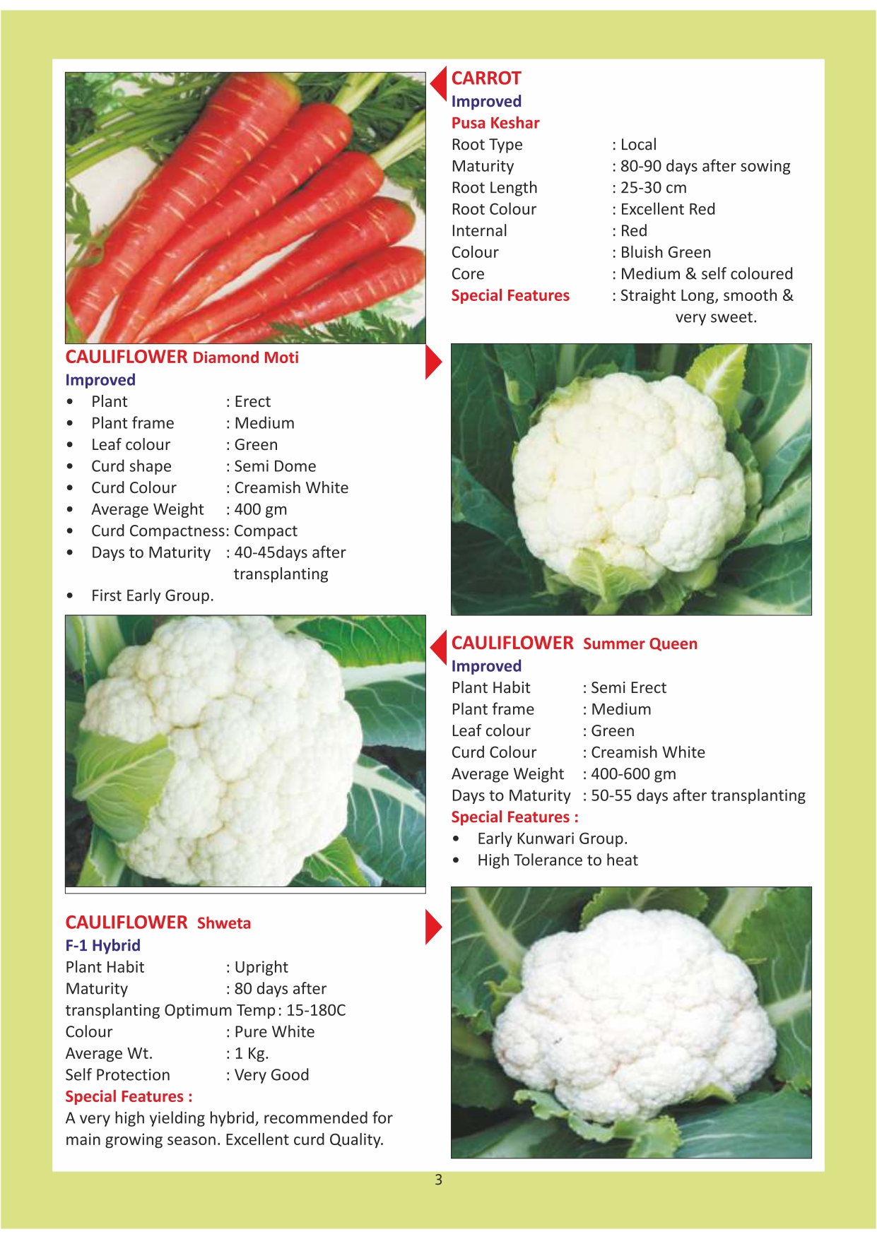 Green India Catalogue Inner Pages_page-0003