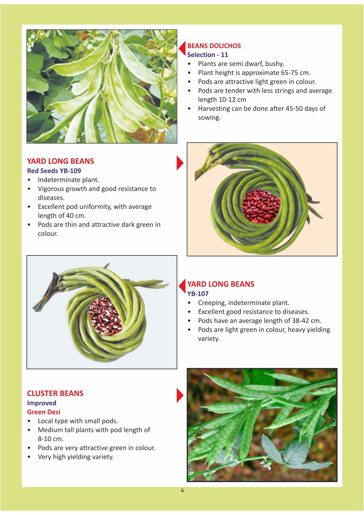 Green India Catalogue Inner Pages_page-0004