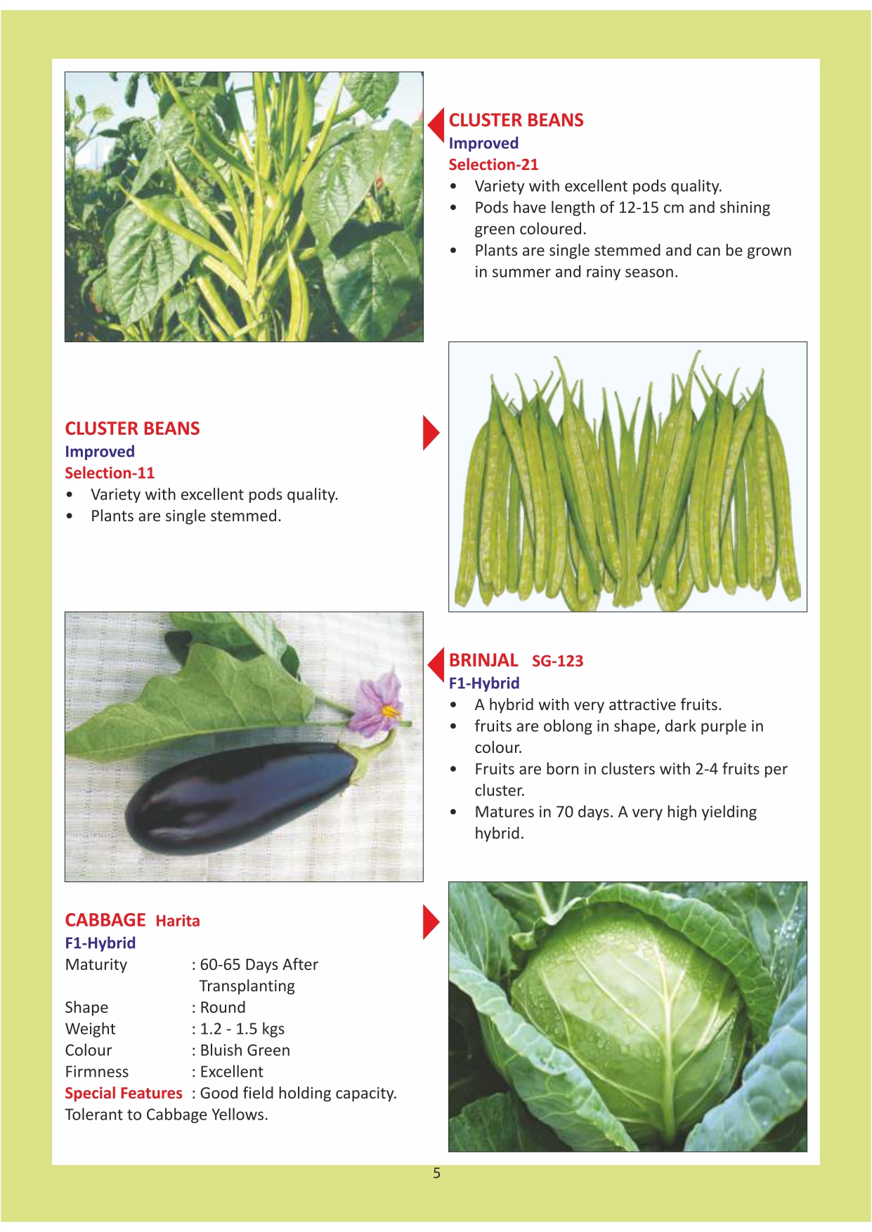 Green India Catalogue Inner Pages_page-0005