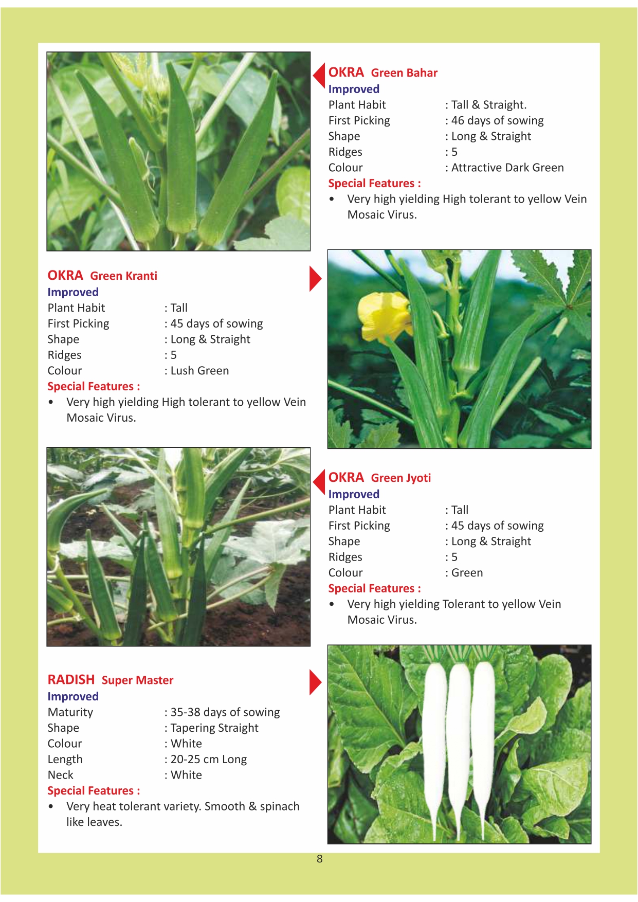 Green India Catalogue Inner Pages_page-0008