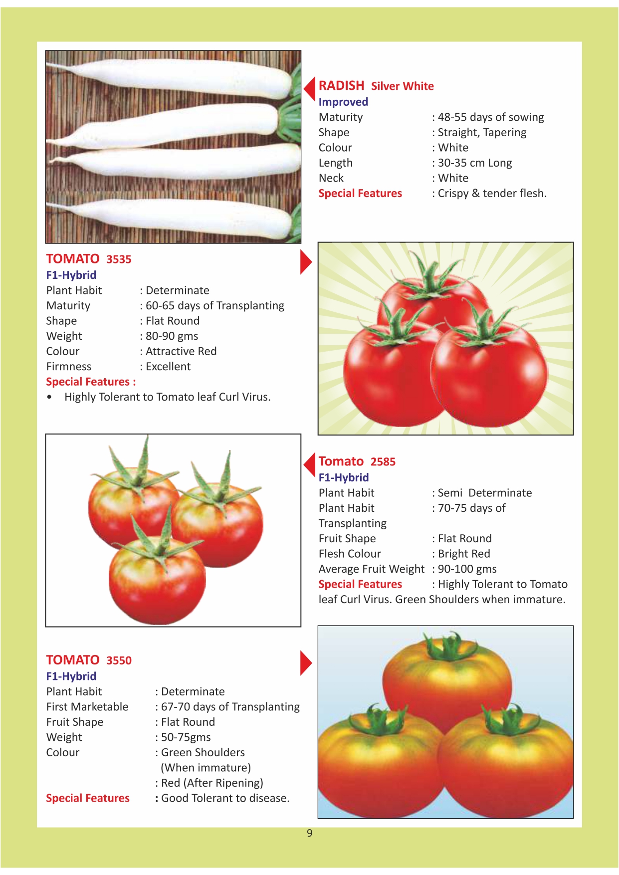 Green India Catalogue Inner Pages_page-0009