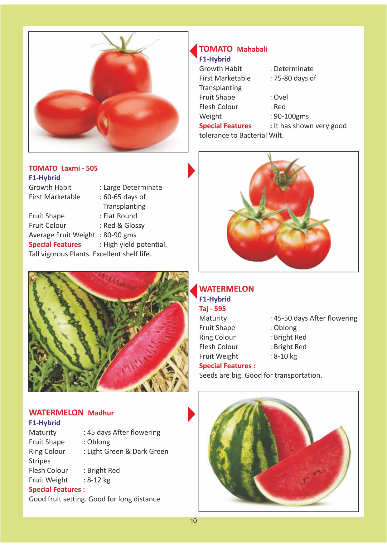 Green India Catalogue Inner Pages_page-0010