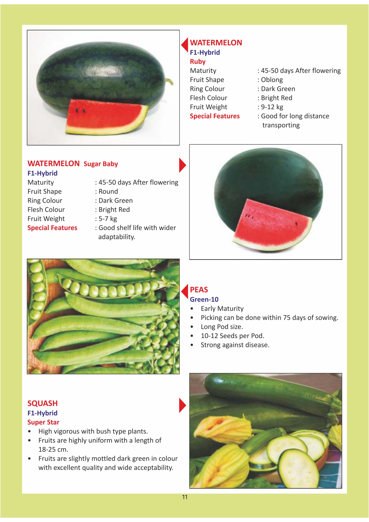 Green India Catalogue Inner Pages_page-0011