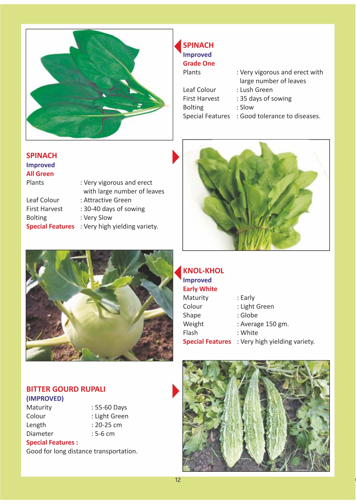 Green India Catalogue Inner Pages_page-0012