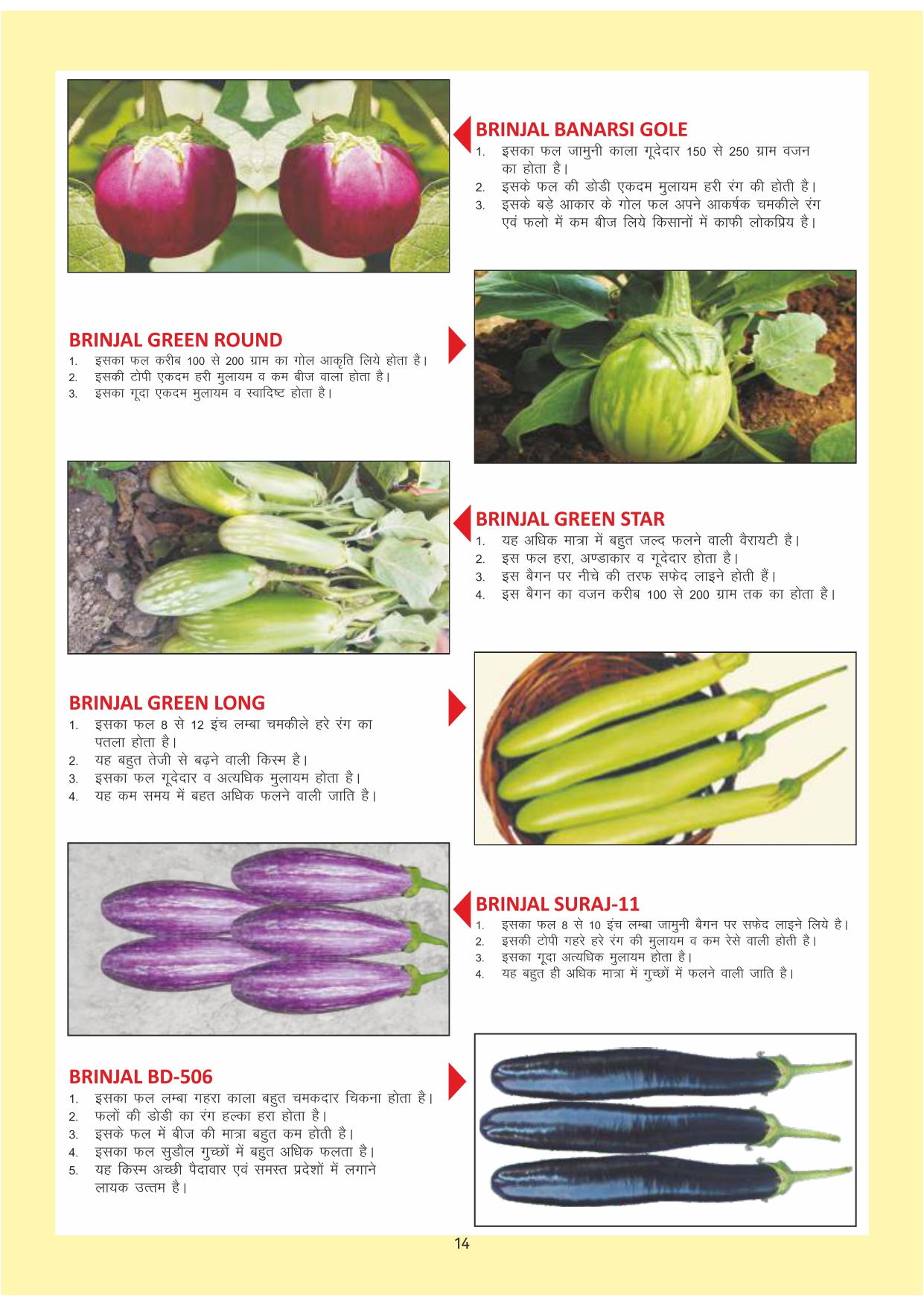 Green India Catalogue Inner Pages_page-0014