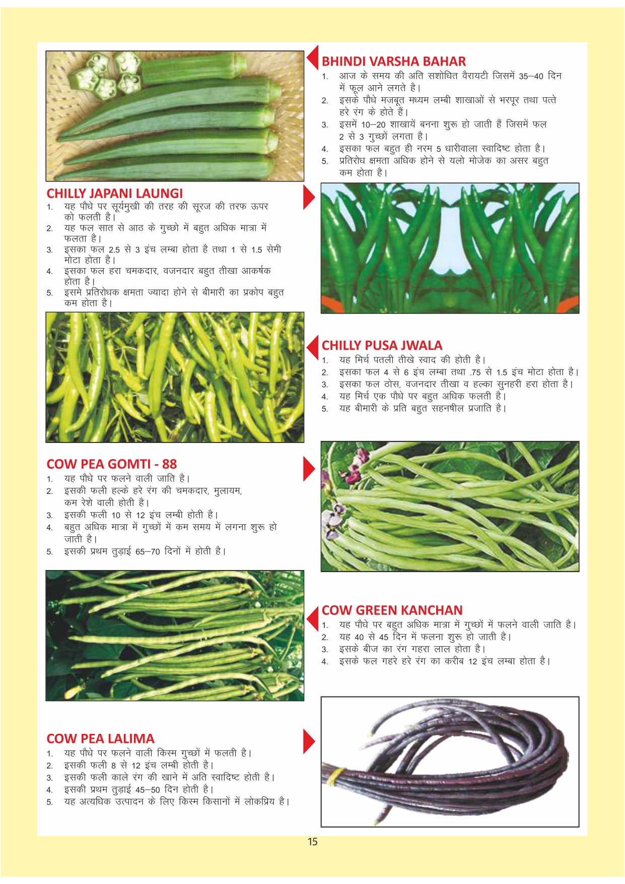 Green India Catalogue Inner Pages_page-0015