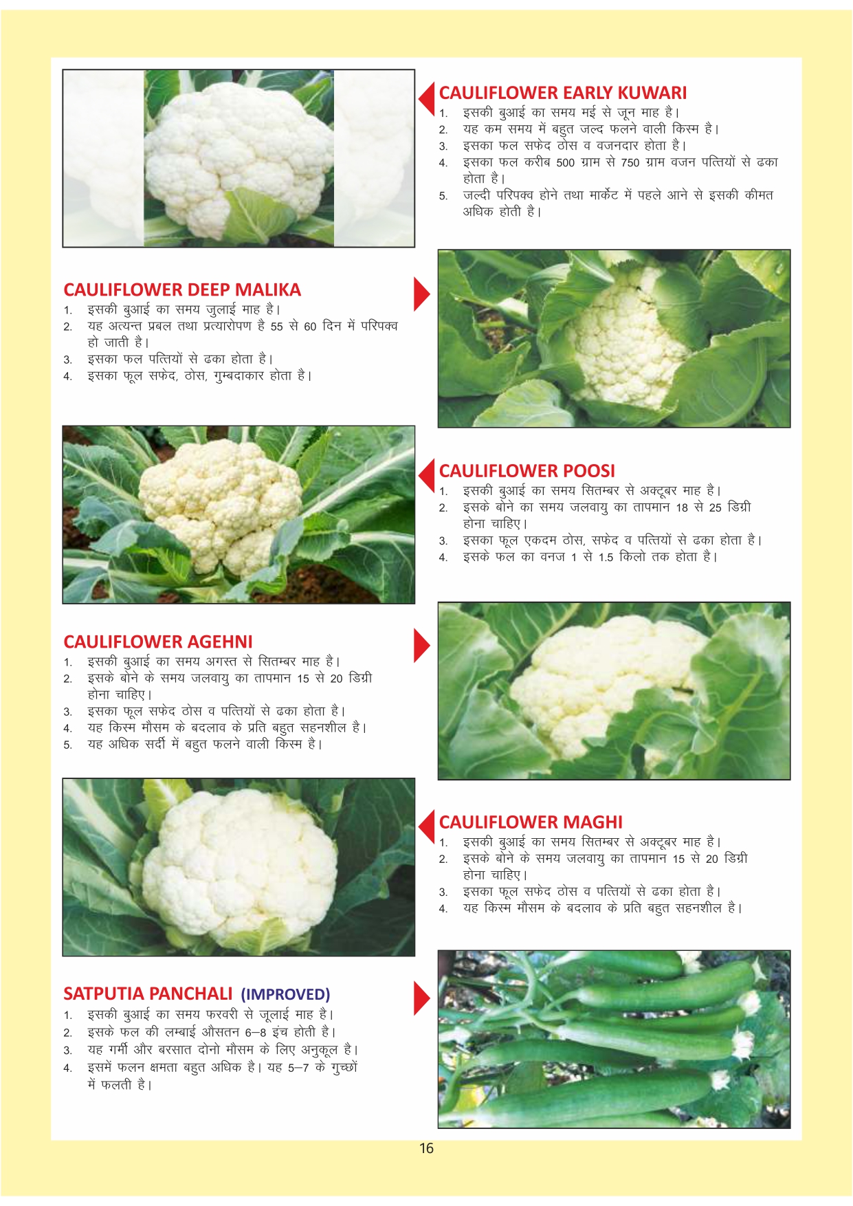 Green India Catalogue Inner Pages_page-0016