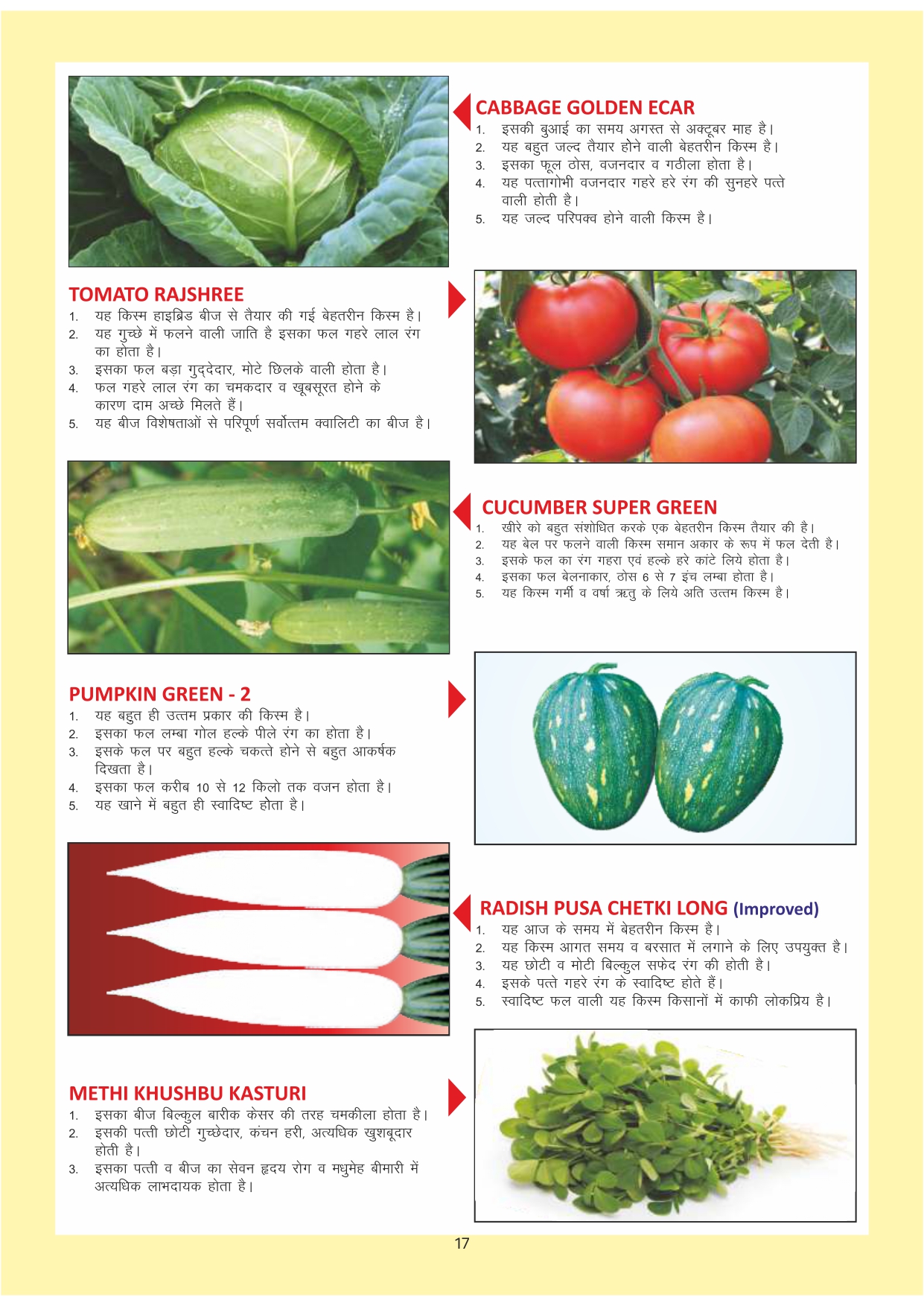 Green India Catalogue Inner Pages_page-0017