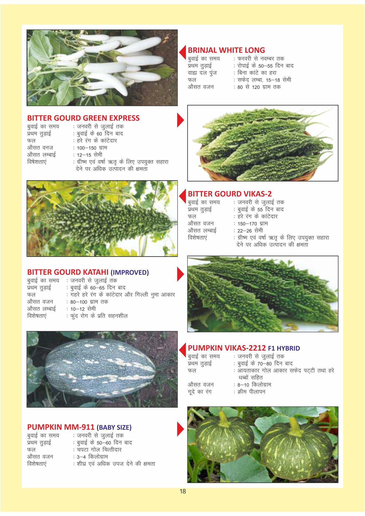 Green India Catalogue Inner Pages_page-0018