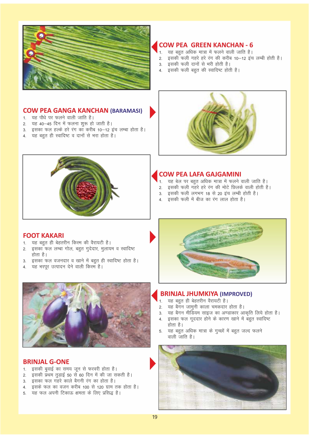 Green India Catalogue Inner Pages_page-0019