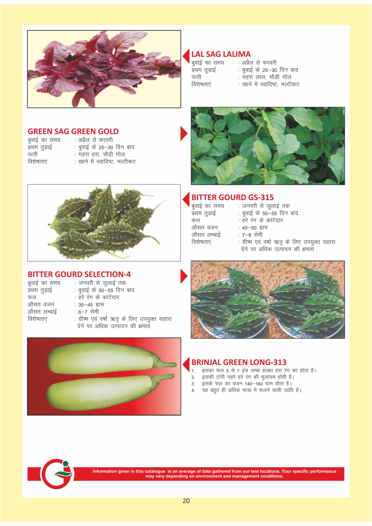 Green India Catalogue Inner Pages_page-0020